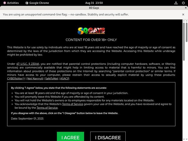 80 Gays Password Login