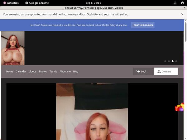 Active Snowbunnyy Passwords