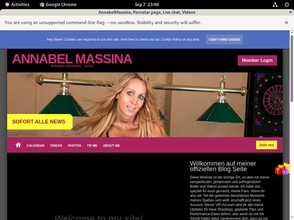 AnnabelMassina Telephone Billing
