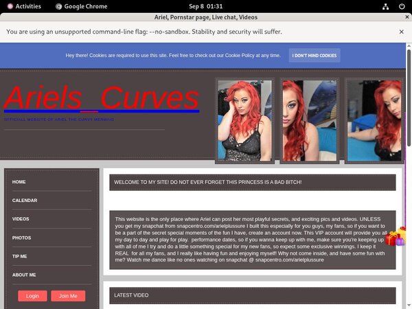 Ariel Try Free Ariel Try Free