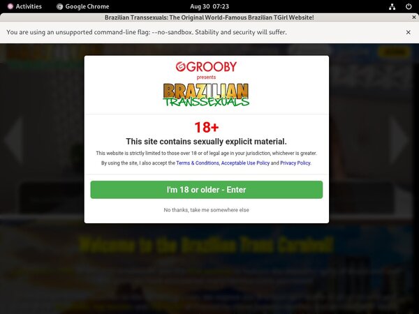 Braziliantranssexuals Discount Codes
