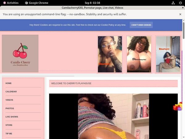 Camilacherryxxx.modelcentro.com Free Logins 2018