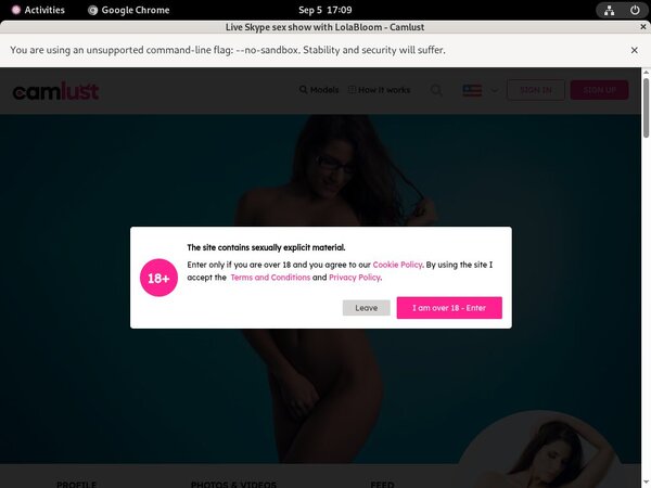 Camlust.com Webcams