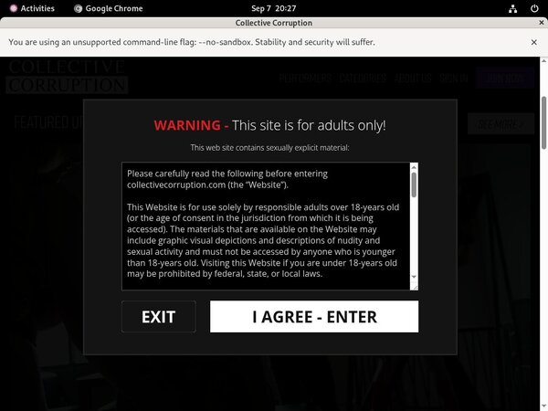 Collectivecorruption Get Access