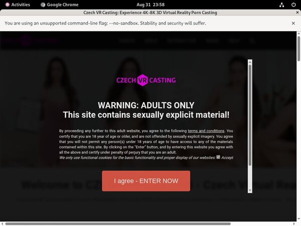 Czech VR Casting Join Link