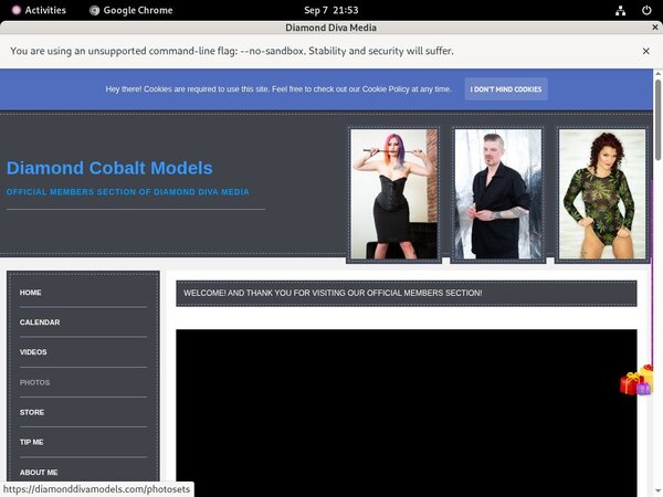 DiamondDivaMedia Payporn Discount