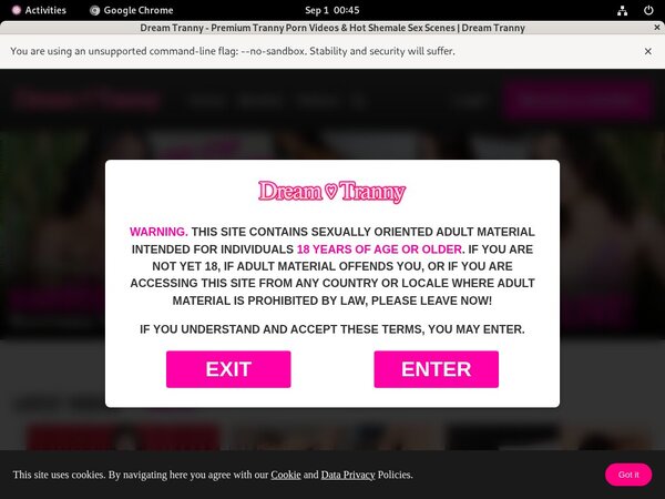 Dreamtranny Discounted Membership