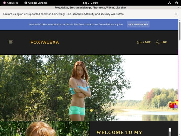 FoxyAleksa Shop