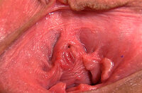 Gape My Pussy With Master Card s1