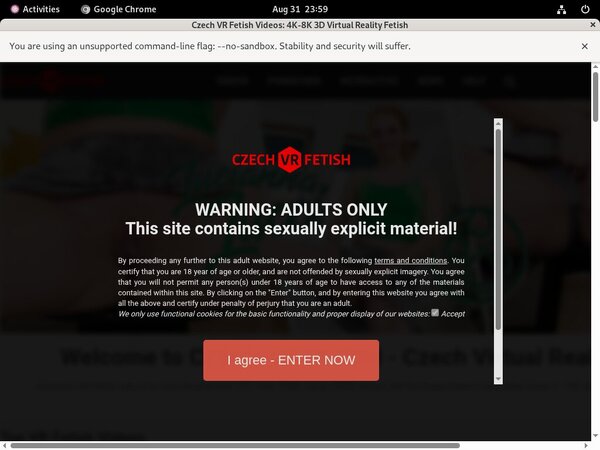 Get Czechvrfetish Free Login