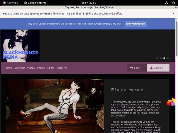 Gigixxxs.modelcentro.com Account Information