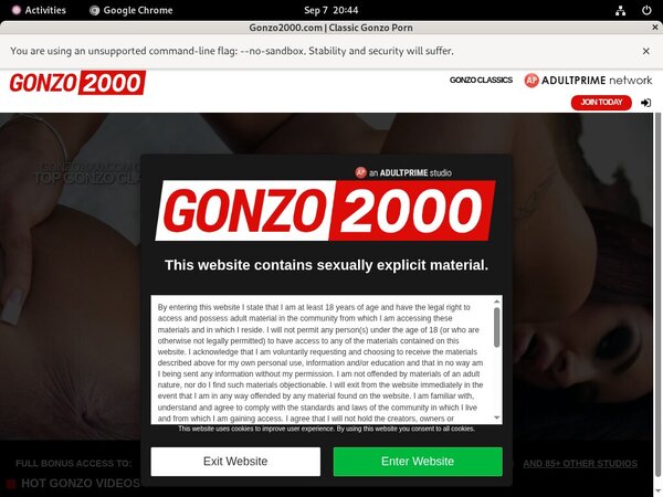Gonzo2000.com Promo Deal