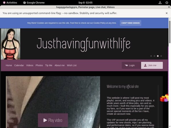 Happygoluckypyro.com 2019