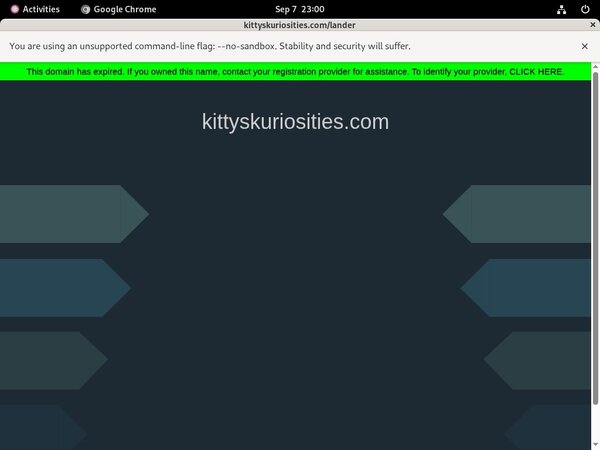 Kitty'sKuriosities Feet