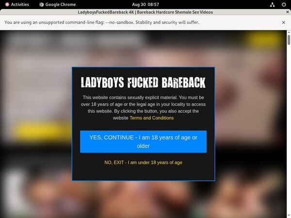 Ladyboysfuckedbareback Limited Offer