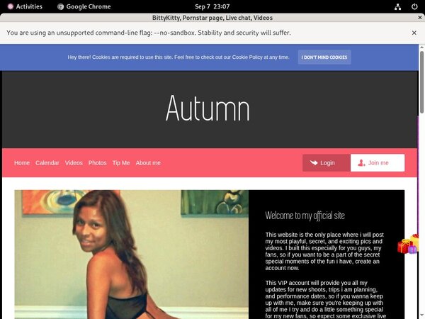 Limited BittyKitty Discount