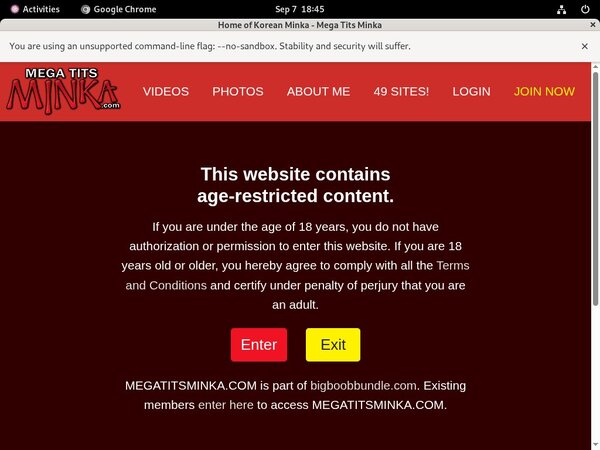 Megatitsminka.com Accounts Passwords