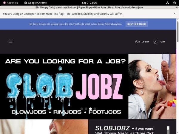 Paypal Slobjobz.com?