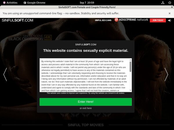 Sinful Soft Gratis Password