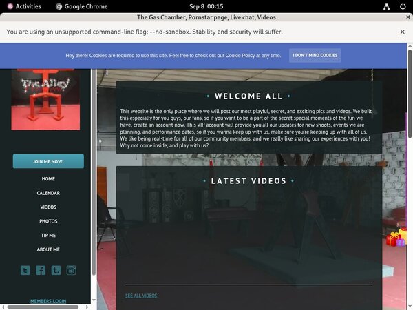 Thealleywynwood.modelcentro.com 