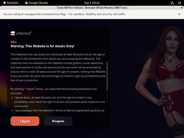 Vrbtrans Hd Sex Videos