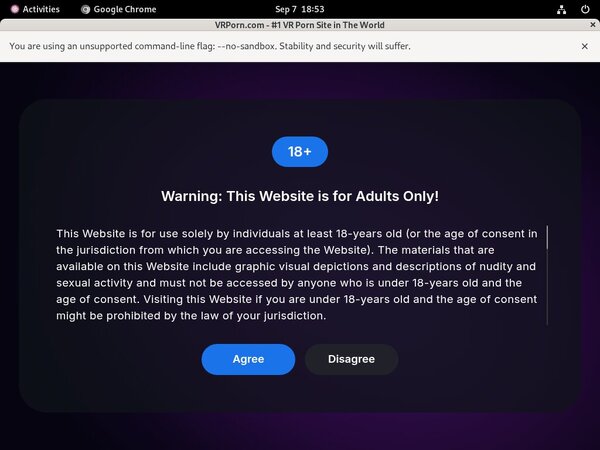 Vrporn.com Bypass