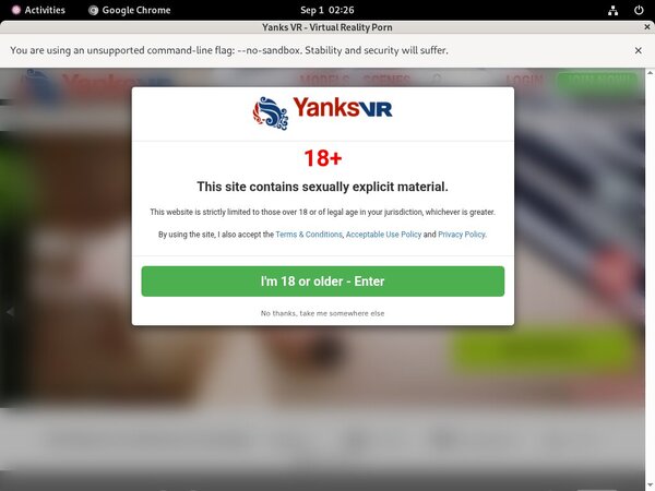 Yanks VR Porn Pictures
