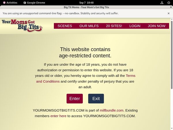 Yourmomsgotbigtits.com Org