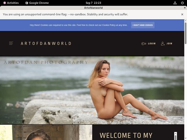 Artofdanworld Using Pay Pal