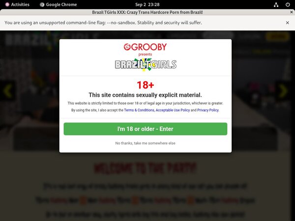 Brazil TGirls XXX 2018 Brazil TGirls XXX 2018