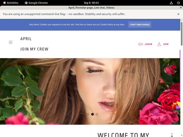 Ladyapril.modelcentro.com Free Entry