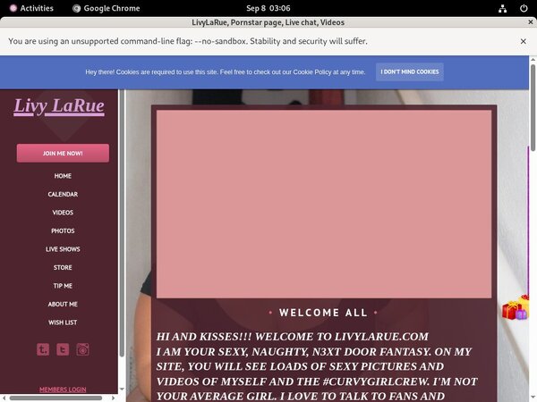 Livylarue.modelcentro.com Ccbillpay