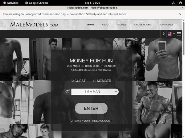Malemodels With Visa