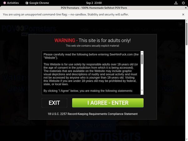 POV Pornstars Account Passwords