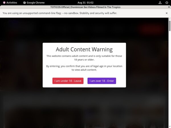 Totico's Preview Totico's Preview