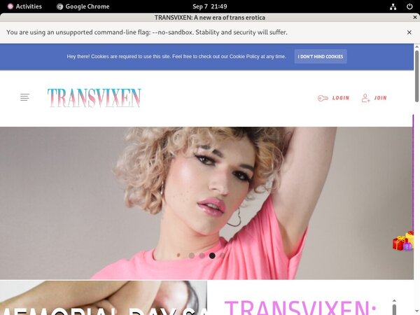 Transvixen Website