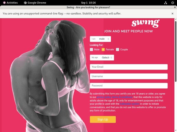 Watch Swing.net Free