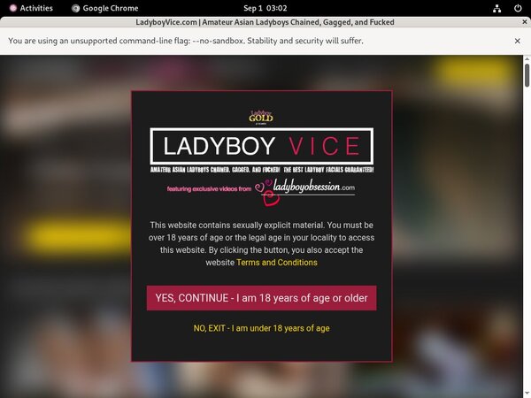 Membership To Ladyboyvice.com