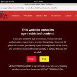 Megatitsminka.com Working Accounts