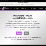 Silversluts Toilet Silversluts Toilet