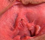 Gape My Pussy Full Episode