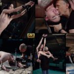 Subspaceland.com Latest Videos