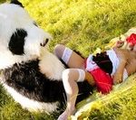 Wtfpass Without Paying